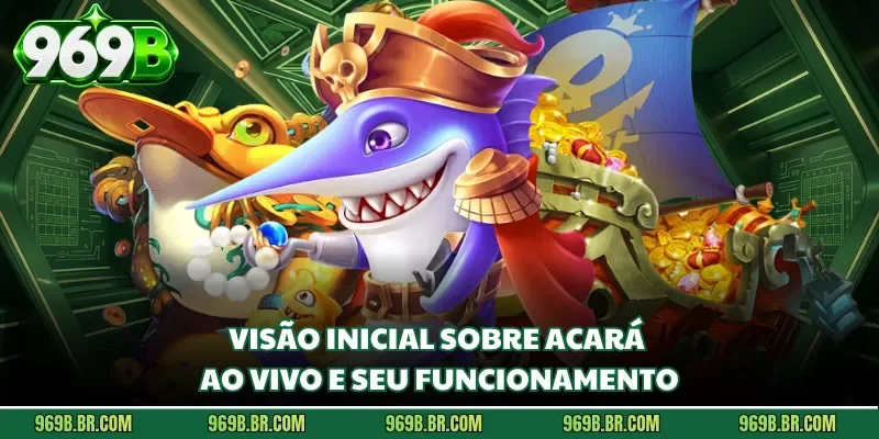 Visão inicial sobre Acará ao Vivo e seu funcionamento